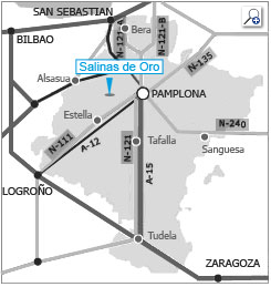 Salinas de Oro NA-700 - Navarra